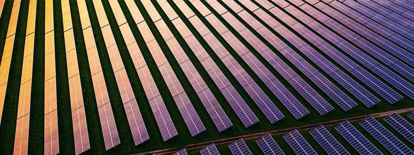 מודעים לסביבה ביחד